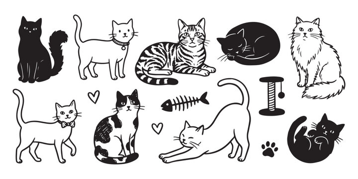 Hand-drawn cat doodle collection, black and white feline vector set, cute kitten character illustrations with fish bone and scratching post icons