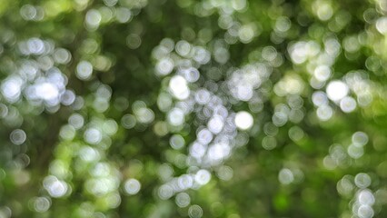 Fototapeta premium Abstract natural green bokeh background with soft blurred light circles. Blurred nature backdrop with ample copy space perfect for backgrounds, wallpaper and modern minimalist graphic design
