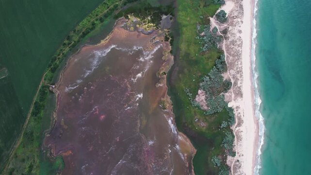 Aerial view of the pink lake and Black Sea coastline with sandy beach and green fields Shabla, Dobrich Province, Bulgaria.