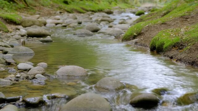 Slow motion tracking shot of river stones and water flowing through mossy creek bed in forest daylight