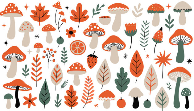 Large collection of hand drawn autumn mushrooms and forest elements