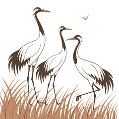 Fototapeta premium Three cranes standing in tall grass stylized vector illustration on a white background