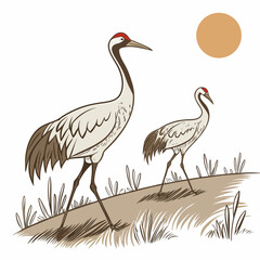 Fototapeta premium Two cranes standing in a field with grass illustration in a sketch style with a golden sun