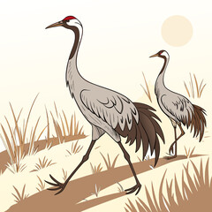 Fototapeta premium Two sandhill cranes walking in a field detailed vector illustration with a beige background