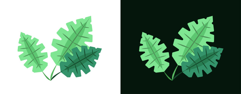Tropical leaves vector set isolated on white background. Collection of green exotic palm leaf elements. Monstera and banana foliage for summer design. Botanical greenery illustration in flat style