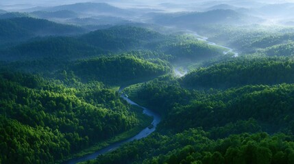 Aerial view of a beautiful landscape of a forested area. the trees are densely packed together, covering most of the hills and valleys.
