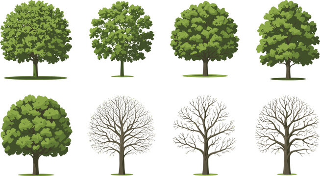 Watercolor style tree collection vector illustration with green and leafless trees isolated on white background