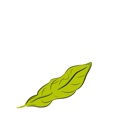 Green leaf creases