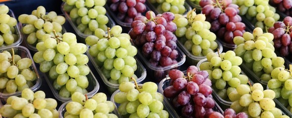 Obraz premium Bunches of red and green grapes sit in plastic containers on a market stall. Assorted fresh fruit arranged for shoppers ready for purchase. Healthy produce variety.