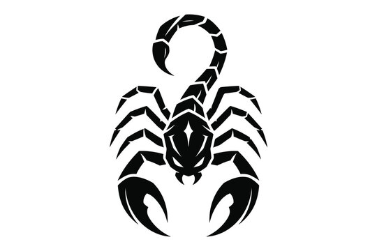 Black and white scorpion vector illustration with raised tail