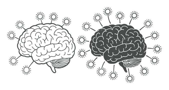 Brain Vector Illustration with Light Bulb Ideas