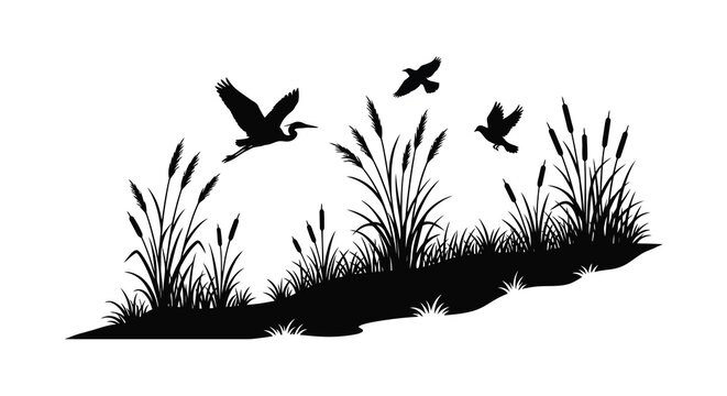 Wetland silhouette birds flying over reeds and marsh grass in black and white
