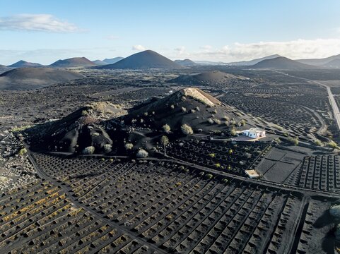 Typical drywall viticulture in volcanic landscape, on volcanic ash, lapilli, aerial view, vines, La Geria wine-growing region, Lanzarote, Canary Islands, Spain