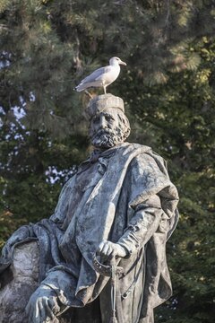 Seagull sitting on the head of a statue, Venice, Veneto, Italy