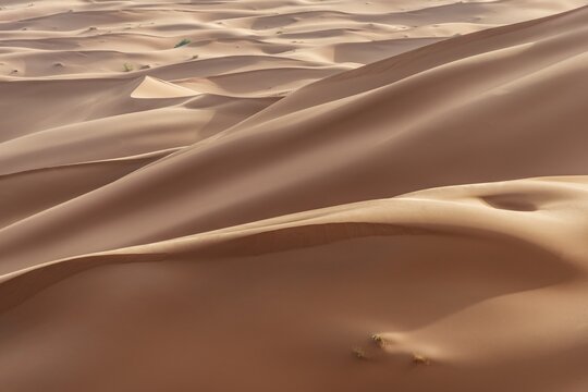 Sand dunes, Erg Chebbi, Merzouga, Sahara desert, Morocco