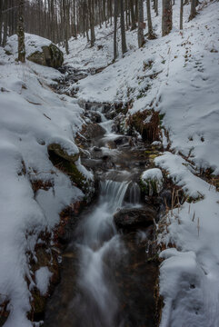 stream in the forest