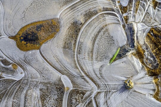 Ice structures on the ground, Kerlingarfj&ouml;ll, Su&eth;urland, Iceland