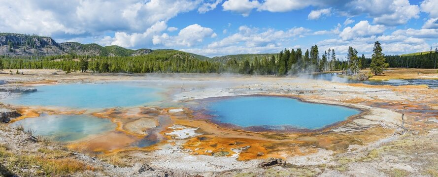 Black Opal Pool, Hot Spring, Yellow Algae and Mineral Deposits, Biscuit Basin, Yellowstone National Park, Wyoming, USA