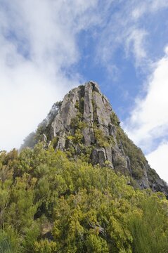 Mt Pinaculo, Levada da Serra, Madeira, Portugal