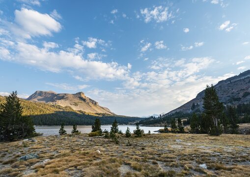 Lake Tioga, Inyo National Forest of Mono County, California, USA