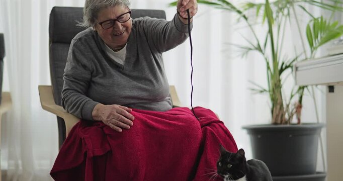 Playful cat enjoy the presence of the elderly woman