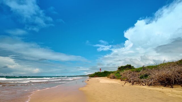 Waves roll to the beautiful sandy beach on sunny day. Walking by the coast of Isabel Island, Galapagos.