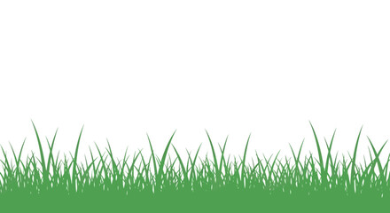 Fototapeta premium Green grass blades closeup view.