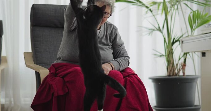 Senior woman in armchair shows a string to the cat to play with