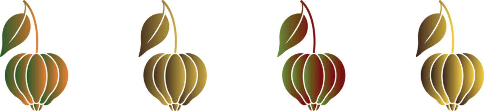 Physalis fruit or ground cherry icon set with autumn gradient colors, decorative organic berry symbol.