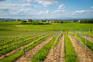 Beautiful farmland view in Tuscany of Italy © nejdetduzen