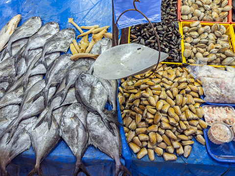 Assorted fresh seafood for sale at a wet market stall including silver pomfret fish, mussels, and various types of clams