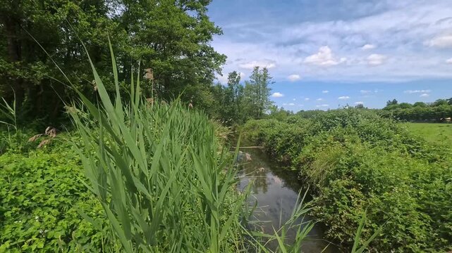 Strong Wind Blowing Through Rural Fields and Canal Landscape, Morimondo, Italy - STEADY VIDEO