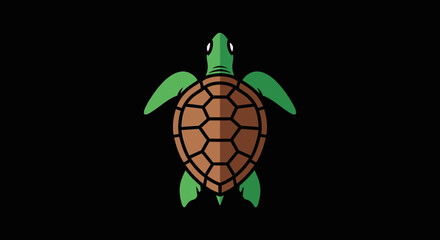 Green sea turtle on black background. © Ahmad