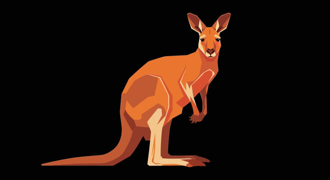 Kangaroo standing on its hind legs.