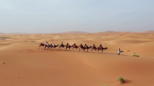  Camels caravan in Sahara desert in Merzouga Morocco