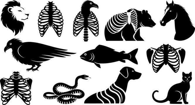 Collection of black vector graphics combining animal silhouettes and skeletons