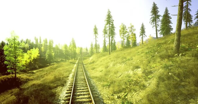 Inviting rails into wild hills and sunlit groves, perspective line draws viewer into open landscape, ideal for adventure branding, travel editorial, hiking