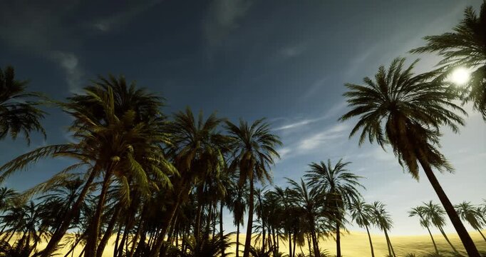 skyline palms silhouetted against broad moody sky, rhythmic trunks creating graphic pattern, sweeping clouds and soft gradient light for editorial and branding