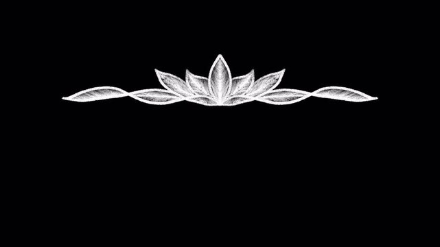 Chalk florChalk floral divider isolated on black backgroundal divider isolated on black background