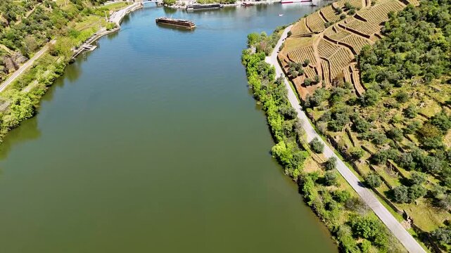 Aerial view of the Douro River with its green water and lush vegetation along the bank in Pinhao, Vila Real, Portugal.