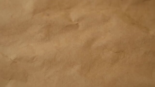 Close-up of crumpled brown paper with subtle shading and textures