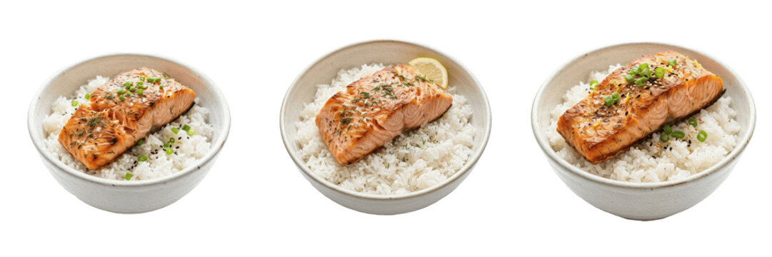 Set and collection of grilled salmon fillet with rice isolated on white background