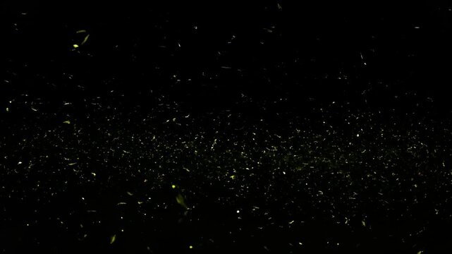 Dark background speckled with glowing green elements, like a swarm
