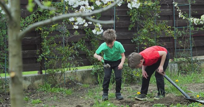 Two kids digging in the garden to find earthworms