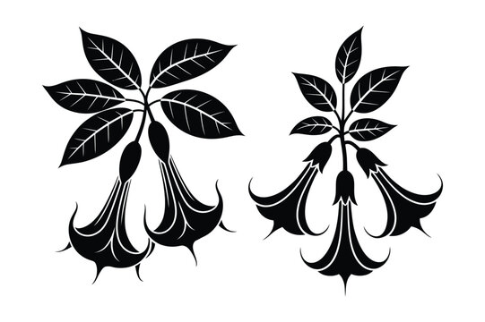 Black silhouette vector illustrations of angel's trumpet flowers and leaves