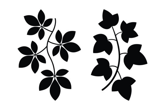Stylized botanical illustration of palmate and lobed leaves on branches