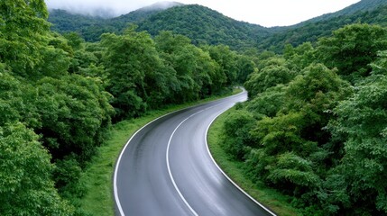 Fototapeta premium Curved asphalt road winding through lush green forested hills under cloudy sky in a tranquil summer landscape ideal for travel and outdoor adventures