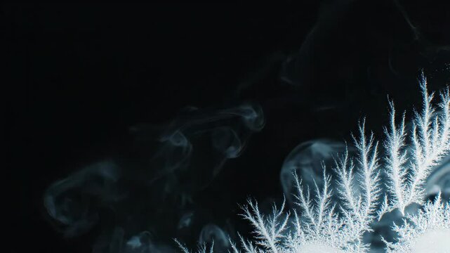 Frost crystals forming with rising vapor on dark surface. Sequence shows dendritic ice growth from initial wisps to intricate patterns. Scientific macro visualization of crystallization process