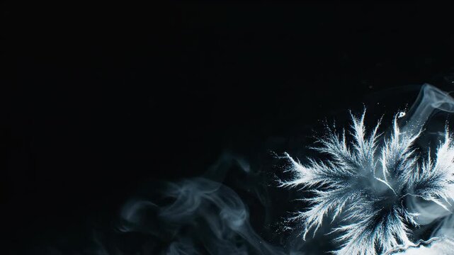 Swirling white vapor forming delicate fern like patterns on black background. Abstract smoke condensation sequence for scientific visualization in corporate media or digital effects applications
