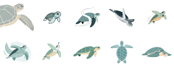 Cute Sea Turtle Swimming Collection Flat Design Marine Animal Vector Illustration Set © NineteenVisualStudio